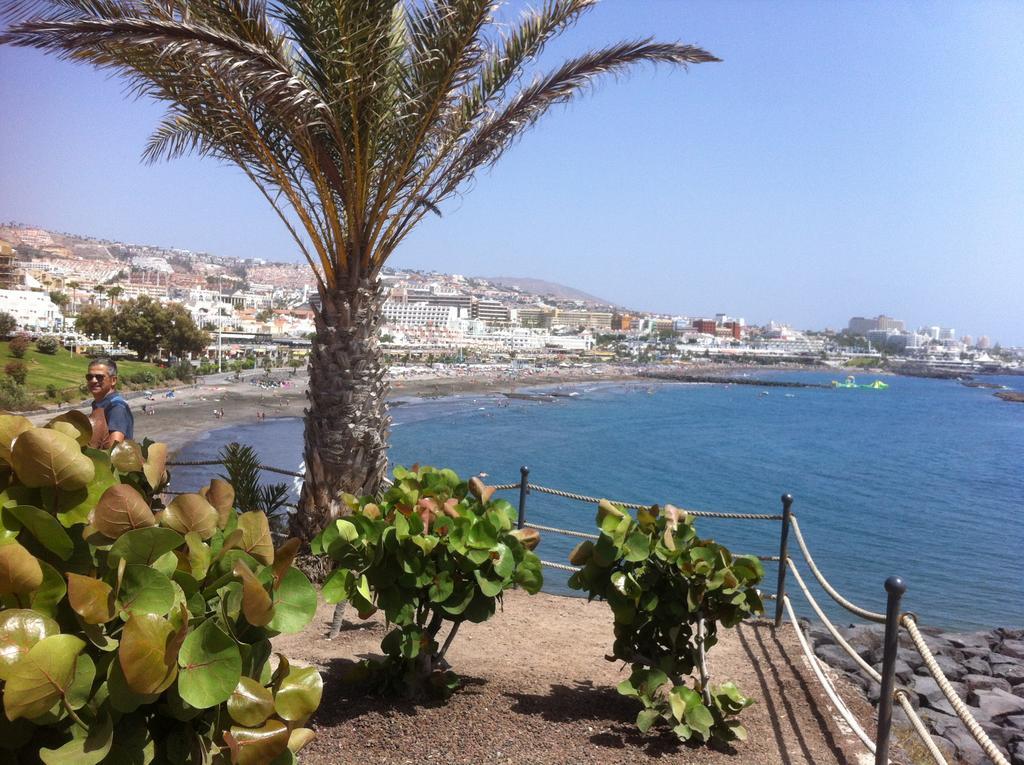 Paraiso Del Palm Mar Eksteriør billede